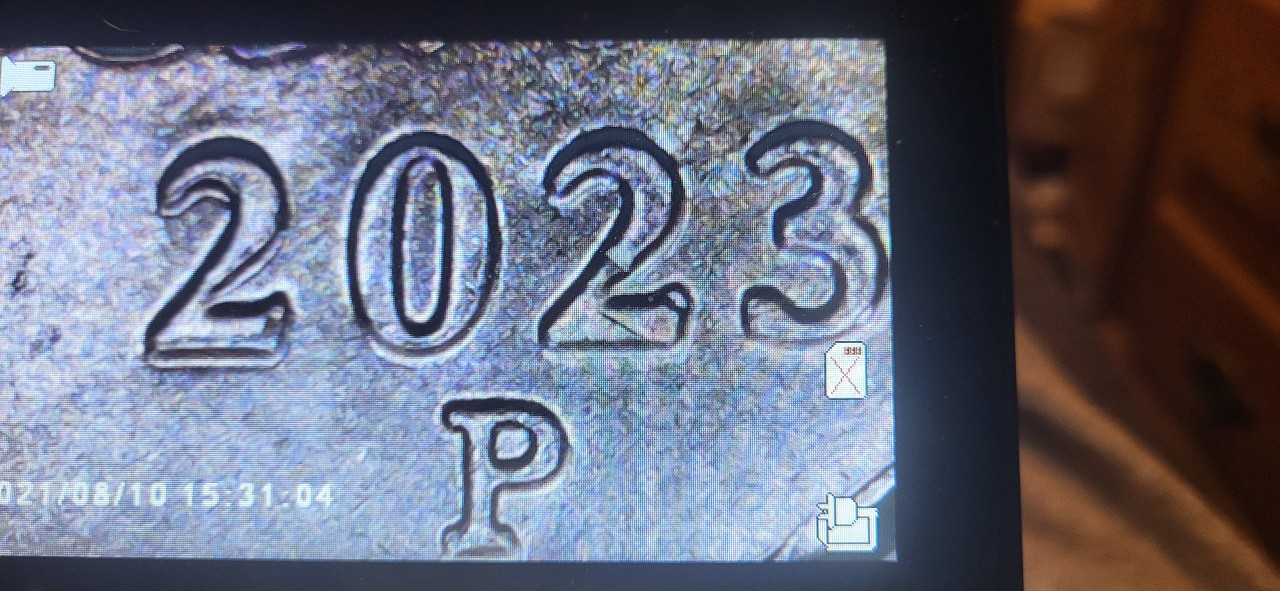 2023-P-Nickel-Possible-Errors